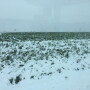 Late-April snow blanketed this Kansas wheat field ... and a lot others.