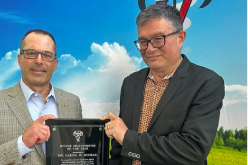 Top Honors Awarded to AABP Beef and Dairy Veterinarians during Annual ...