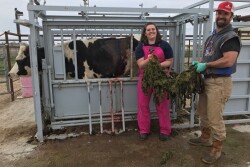 Dr. Katelin Young, 2018 graduate, St. George's University