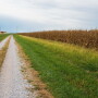 farmstead and road