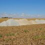 Always base your lime applications on soil test results from reputable labs.