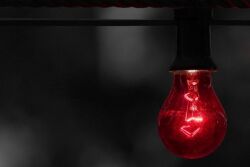 Red Warning Light by Canva.com