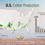 70% of the country's cotton crop is considered to be in a drought, with the bulk located in what's called the largest cotton patch in the U.S. This week's relentless heat and dryness are creating conditions worse than farmers saw in 2011. 