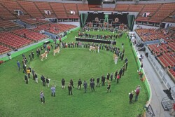 The National Intercollegiate Dairy Cattle Judging Contest celebrates 100 years of competition.