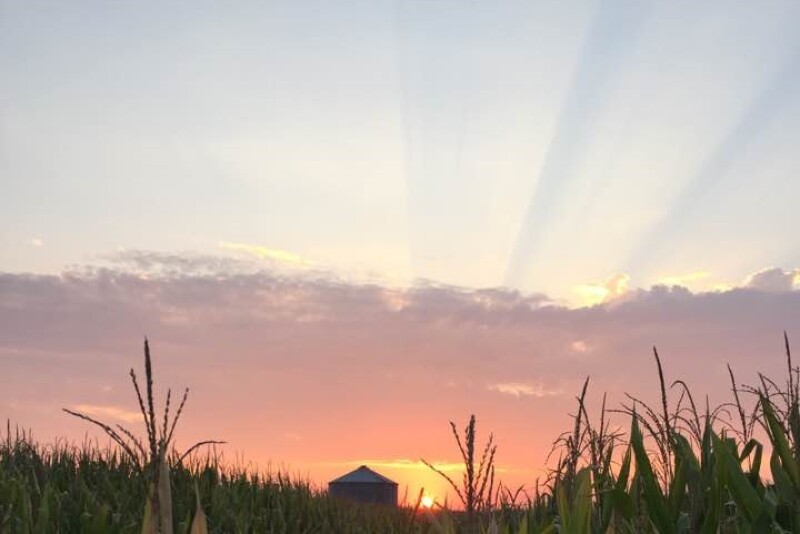 Here’s how to start, continue and succeed in your farm’s transition plan.