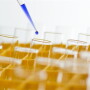 test tubes