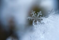 snowflake-1245748_1920_0.jpg
