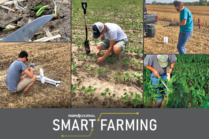 10 Easy Ways to Take Your Crop-Scouting Practices to the Next Level - AgWeb