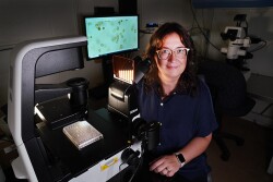 Jennifer Wisecaver, associate professor of biochemistry at Purdue University, looks for genetic variation in single-celled algae associated with algal blooms. 