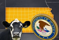 The owners of a sale barn in Kansas have been charged with writing more than $2 billion in unfunded checks and wire transfers. Their alleged fraud scheme has lost banks millions of dollars and is impacting cattlemen.