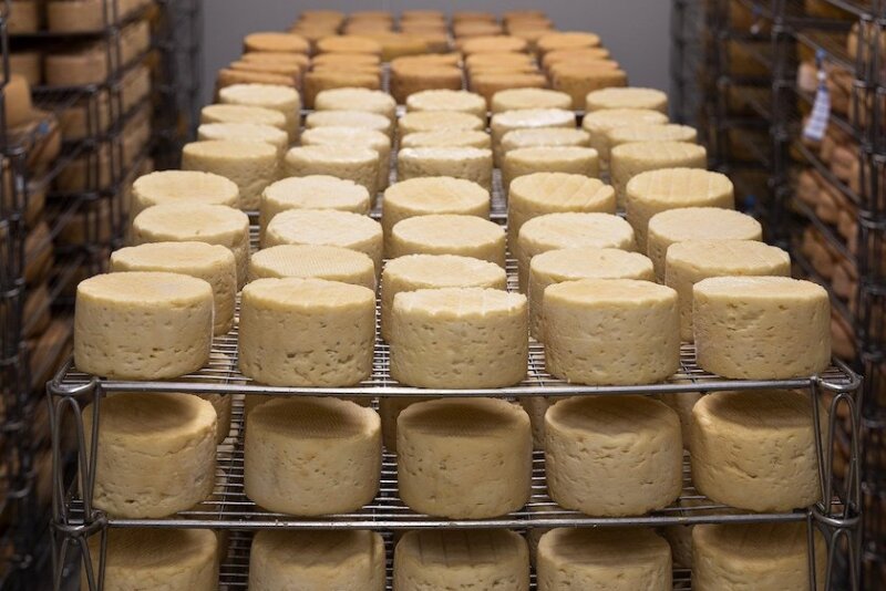 cheese-5125021_1280.jpg