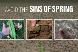 Sins of Spring