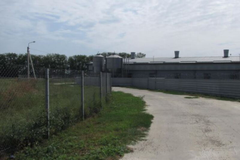 A double fence around the farm territory is a must to achieve the highest compartmentalization status in Russia.