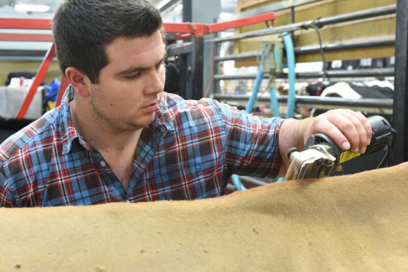 The hours leading up to one Expo’s cattle shows are filled with the quest for perfection.