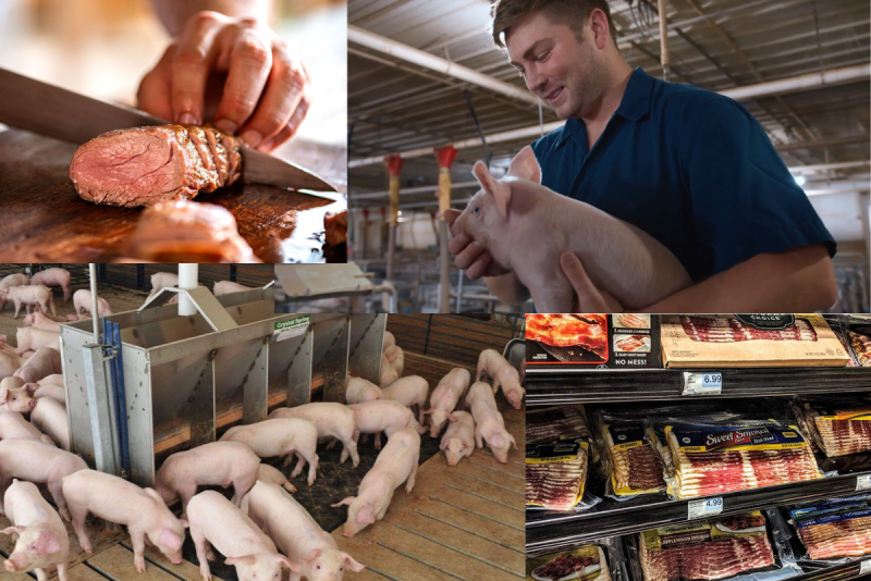 PORKtober Collage
