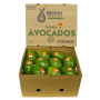 20 count Florida avocados