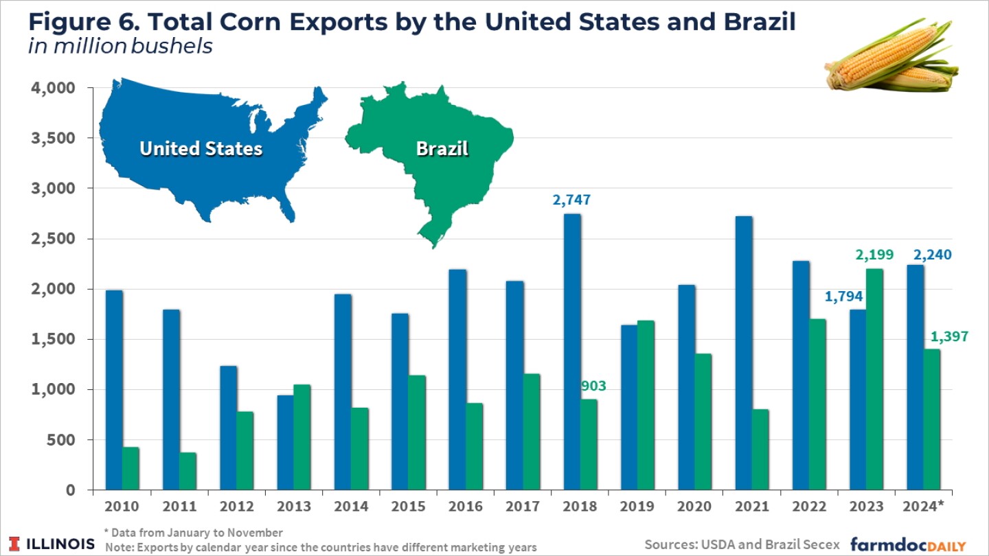 China_Corn.jpg