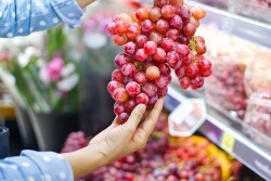 Rabobank table grapes