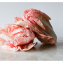 radicchio rosa.png