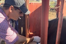 Marty Zaluski, DVM, serves as State Veterinarian with the Montana Department of Livestock.