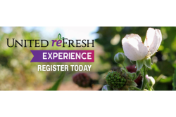 United Fresh reFresh.png