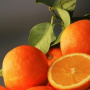 A4D809D1-471E-41F8-95E205BC0A5294E4.png