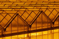Greenhouse