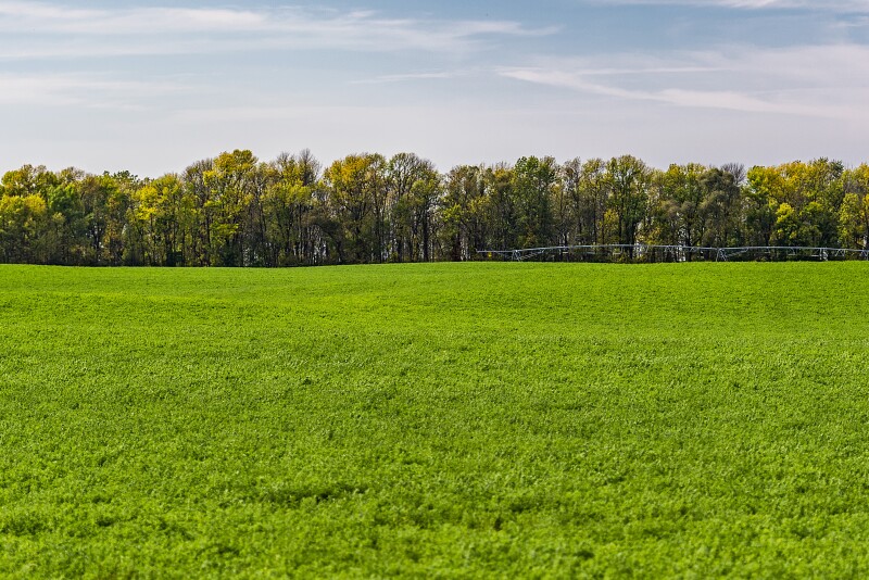 Last week John dove into a major misconception about estate planning. This week, he shares some misperceptions between heirs on and off the farm. 