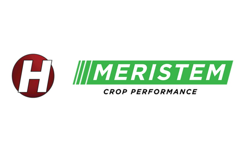 Meristem Hefty.jpg