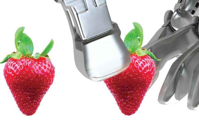 automation-banner-2.jpg