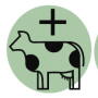 We asked veterinarians for their thoughts on the key challenges and opportunities for success in eight categories during the decade of the 2020s.