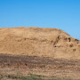 Silage