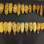 Heat Resistant Corn