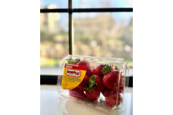 bobalu berries