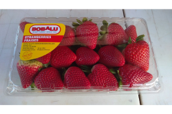 Bobalu