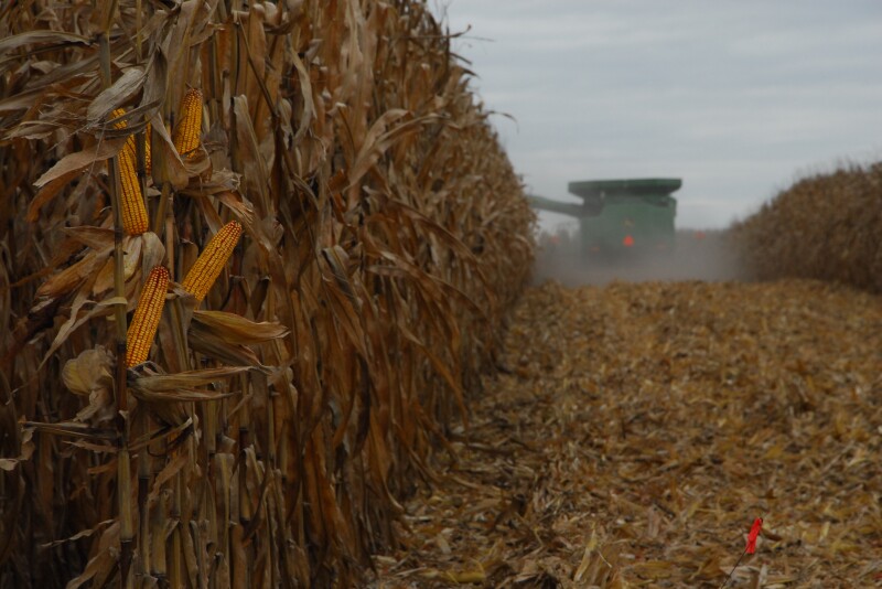 After an already challenging year, Ken Ferrie says it's a fight to the finish, but reminds producers it's not undoable, and he has some advice to get farmers already thinking about a challenging harvest. 