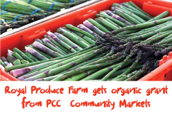 Royal Farm gets grant asparagus organic