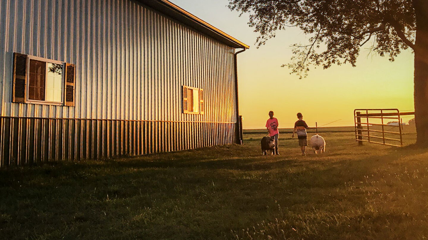 5 Things “Weigh Night” in the Barn Taught Our Kids About Growing Up