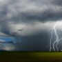 Monetary aid caused by 2018 and 2019 natural disasters is available for qualifying producers.