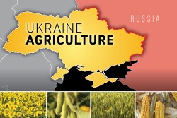 Ukraine Agriculture