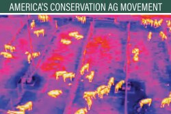 Drones with thermal imaging cameras have been buzzing over a research feedlot near Amarillo, as researchers develop test methods to identify feverish animals before they show symptoms of illness. 