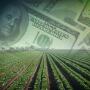 Most farmers know that if they collect crop insurance, they are allowed in most cases to defer those proceeds for one year. But in many cases, they can't defer all of it.