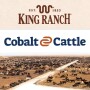 King Ranch and Cobalt Cattle.jpg