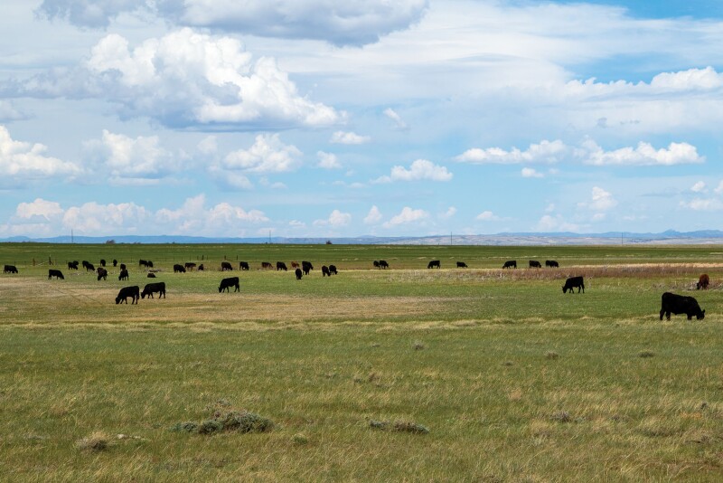 Hall Ranch