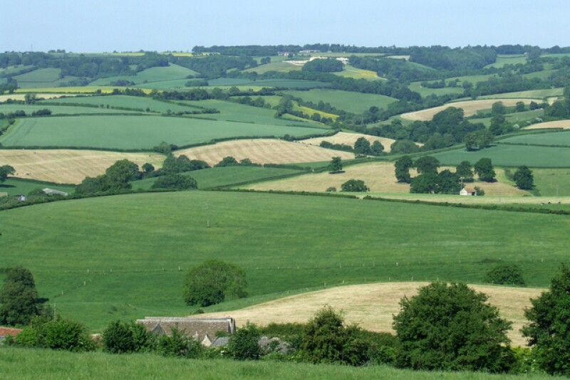 English countryside