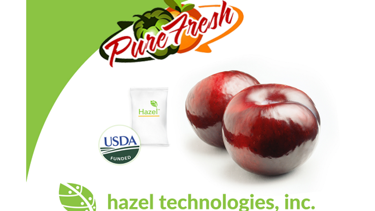 PureFresh Sales uses Hazel Tech on fruit for freshness - The Packer