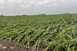 Derecho in Illinois 
