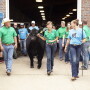 IA_Gov_Charity_Steer_Show.jpg
