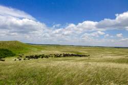 AL Ranch