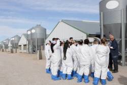 Seaboard Foods Winternship at a Swine Farm